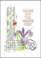 Consider the Wild Flowers - Art Large Postcard